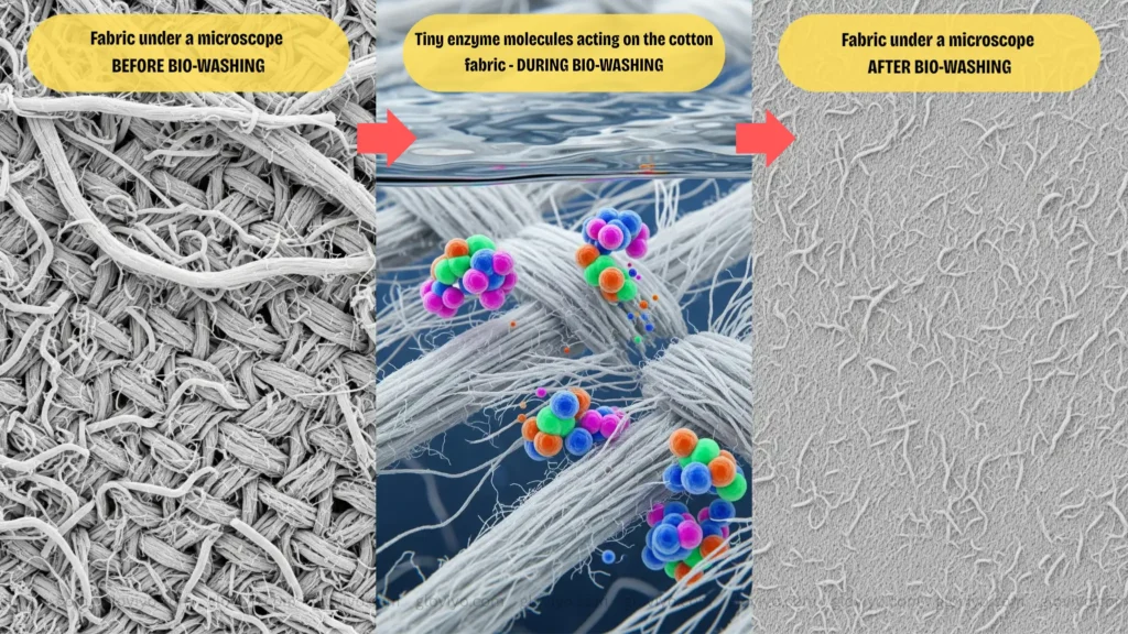 Conceptual_Illustration_at_Microscopic_Level